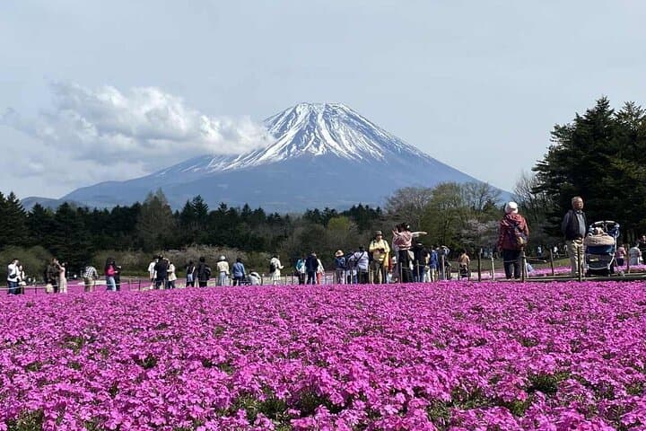Private Mount Fuji Full-Day: 5th Station, Lake Kawaguchi & Hakone Highlights photo 4