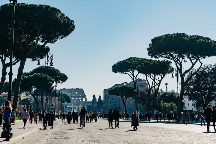 Rome Night Tour by Private Van: Piazza Lights, Aperitivo & Colosseum Views