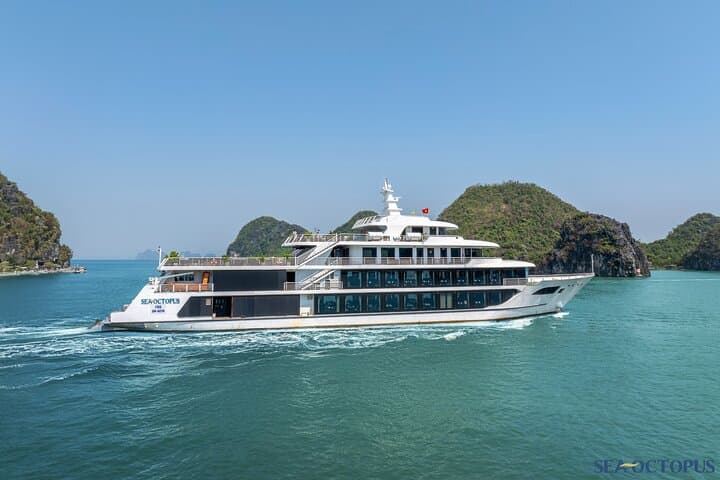 Halong Bay Luxury Day Cruise from Hanoi — Sea Octopus Express Experience