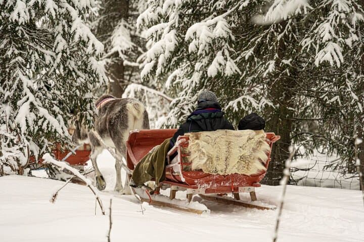 Reindeer Sled Ride in Levi with Professional Photographer — Lapland Experience photo 6