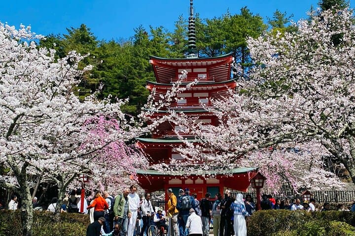 Private Mount Fuji Full-Day: 5th Station, Lake Kawaguchi & Hakone Highlights photo 5
