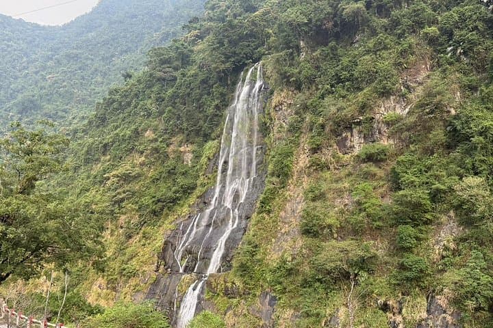 Day Trip to Neidong & Wulai: Forest Walk, Hot Spring Suite and Bitan Swan Boat