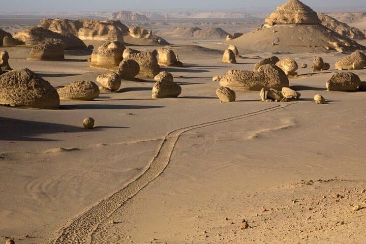 Fayoum Safari: Wadi al-Hitan (Valley of the Whales), Waterfalls & Qarun Lake