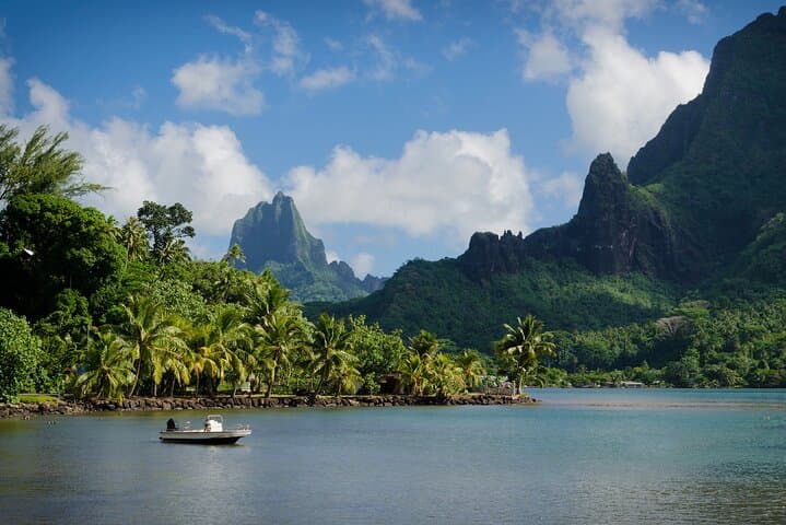 Moorea Full-Day Hiking Experience: Private Shore Tour to Belvedere & Three Coconuts Pass photo 5