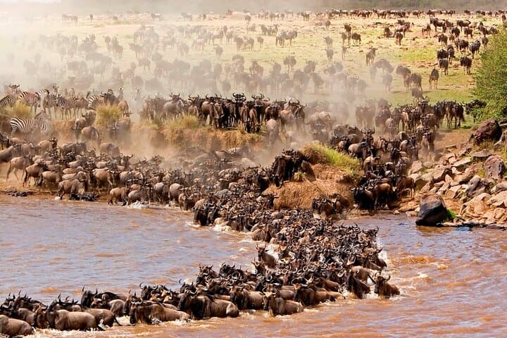 6-Day Great Migration Safari — Serengeti, Ngorongoro & Tarangire