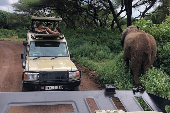 6-Day Great Migration Safari — Serengeti, Ngorongoro & Tarangire photo 5