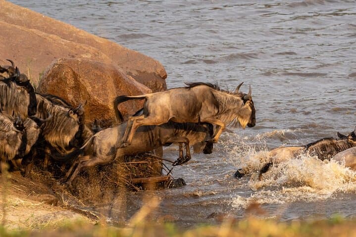 6-Day Great Migration Safari — Serengeti, Ngorongoro & Tarangire photo 6