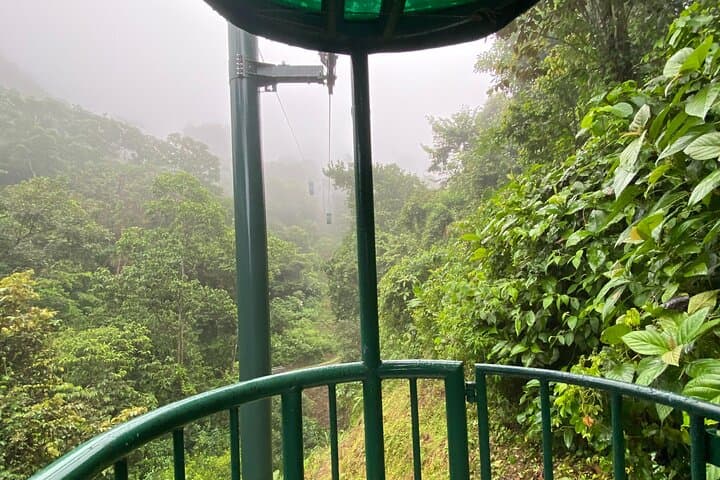 Jacó Rainforest Aerial Tram: Canopy Views, Butterfly & Medicinal Gardens photo 5