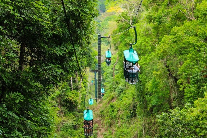 Jacó Rainforest Aerial Tram: Canopy Views, Butterfly & Medicinal Gardens