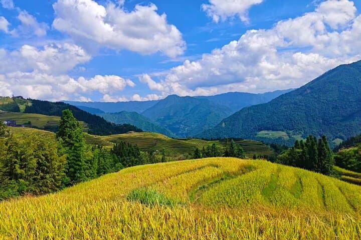 Longji Rice Terraces Day Tour from Guilin — Ping'an Viewpoints & Longhair Village