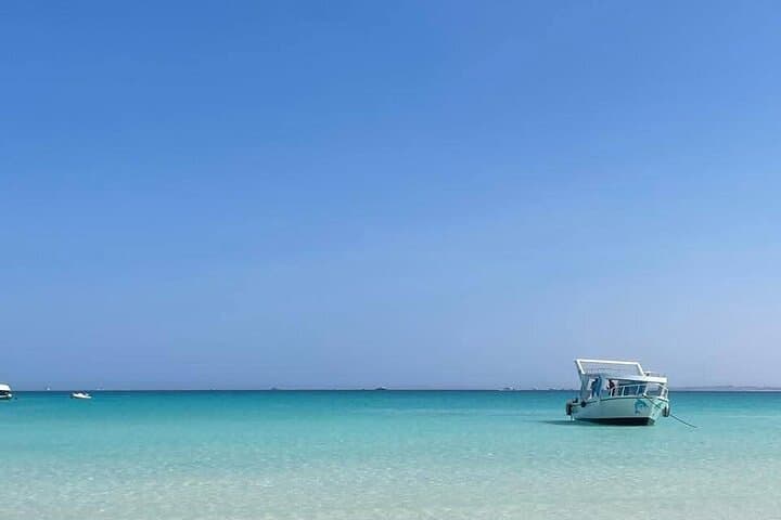 White Island Snorkel and Sunset Cruise from Hurghada — Short Red Sea Escape photo 4