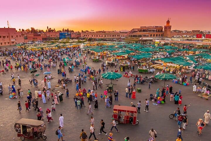 Agadir to Marrakech Private Day Trip: High Atlas Views & Medina Highlights photo 5
