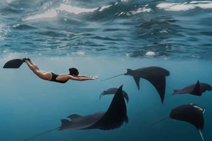 Nusa Penida Day Trip: Snorkel with Mantas and Explore West Coast Viewpoints