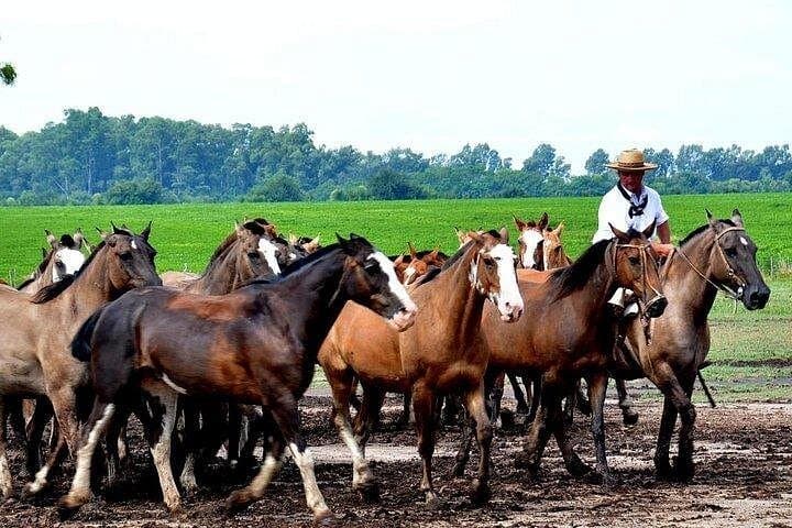 12-Day Buenos Aires, Iguazu & Rio Tour — Falls, Beaches & City Sights photo 4