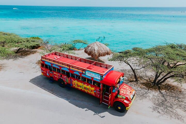 Kukoo Island Bus Tour: Explore Aruba’s Iconic Sights in Four Hours