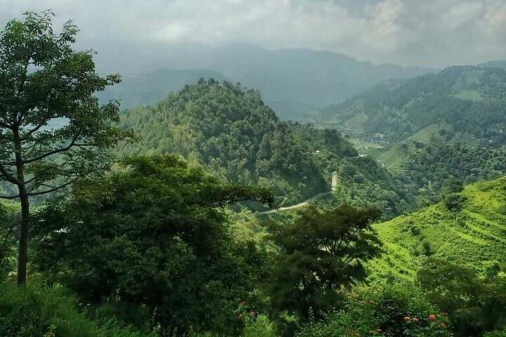 3-Day Hiking & Relaxation Loop from Addis Ababa: Menagesha, Debre Libanos & Wenchi Crater Lake photo 4