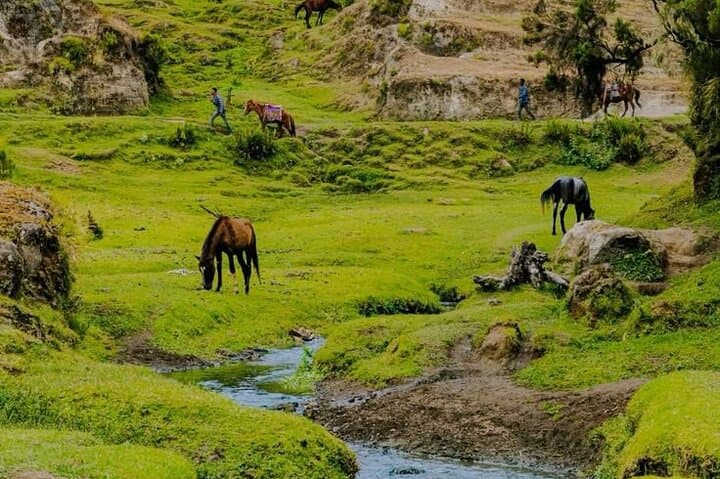 3-Day Hiking & Relaxation Loop from Addis Ababa: Menagesha, Debre Libanos & Wenchi Crater Lake photo 6