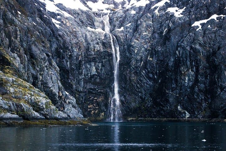 Glacier Quest Cruise from Whittier — Blackstone Bay Glaciers & Wildlife photo 3