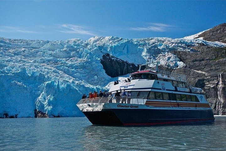 Glacier Quest Cruise from Whittier — Blackstone Bay Glaciers & Wildlife photo 4
