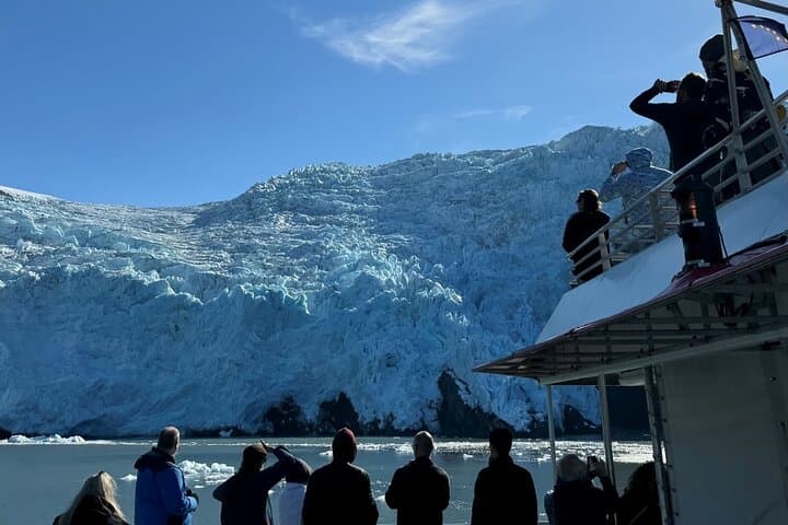 Glacier Quest Cruise from Whittier — Blackstone Bay Glaciers & Wildlife photo 2