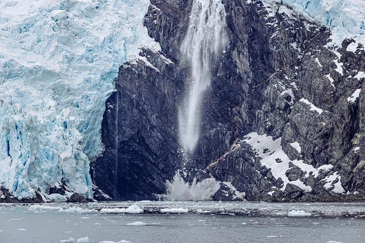 Glacier Quest Cruise from Whittier — Blackstone Bay Glaciers & Wildlife photo 6