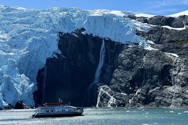 Glacier Quest Cruise from Whittier — Blackstone Bay Glaciers & Wildlife
