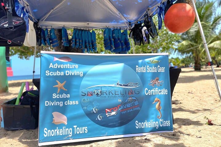 Snorkel Cerro Gordo Beach: Vega Alta’s Clear-Water Marine Adventure photo 1