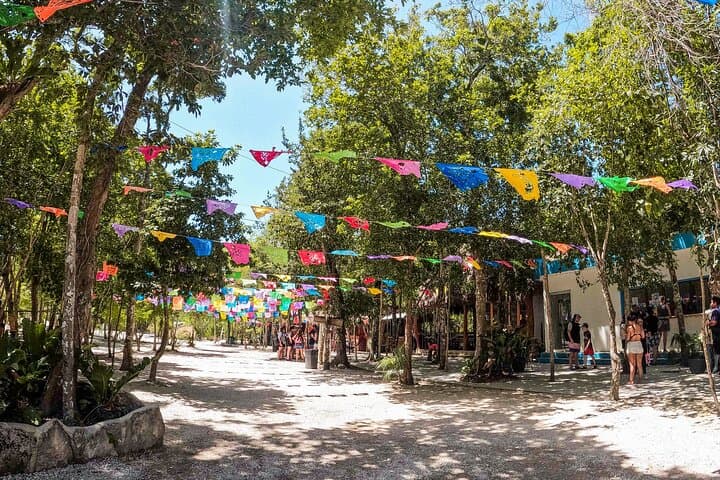 Explore Cenotes Casa Tortuga: 4-Cenote Day Pass with Kayak in Tulum photo 5