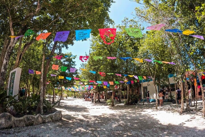 Explore Cenotes Casa Tortuga: 4-Cenote Day Pass with Kayak in Tulum photo 2