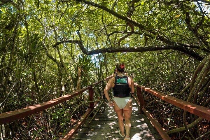 Explore Cenotes Casa Tortuga: 4-Cenote Day Pass with Kayak in Tulum photo 4