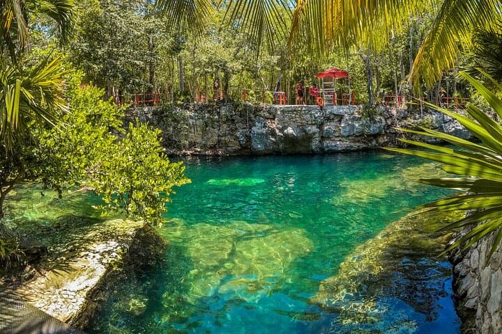 Explore Cenotes Casa Tortuga: 4-Cenote Day Pass with Kayak in Tulum