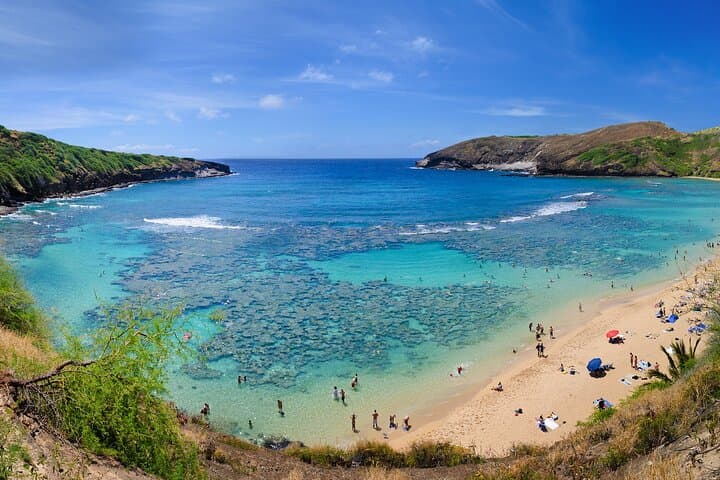 Sights & Bites Ultimate Oahu Grand Circle Island Tour: Waikiki to the North Shore