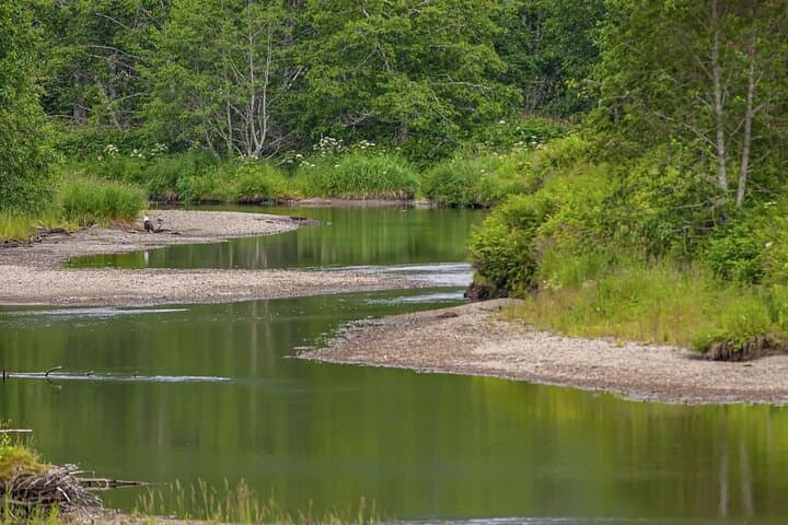 Chichagof Island 2-Hour Guided Driving Tour from Hoonah photo 5