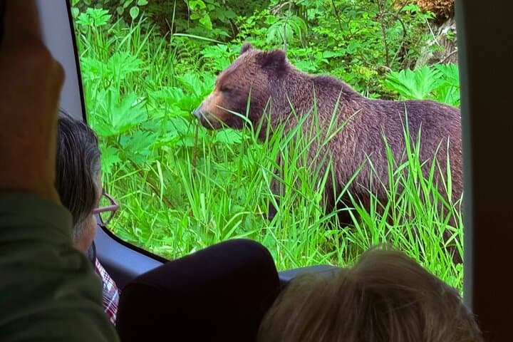Chichagof Island 2-Hour Guided Driving Tour from Hoonah photo 4