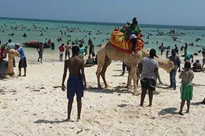 Tsavo Red Elephants and Nyali Beach: 2-Day Private Safari & Shore Escape photo 3