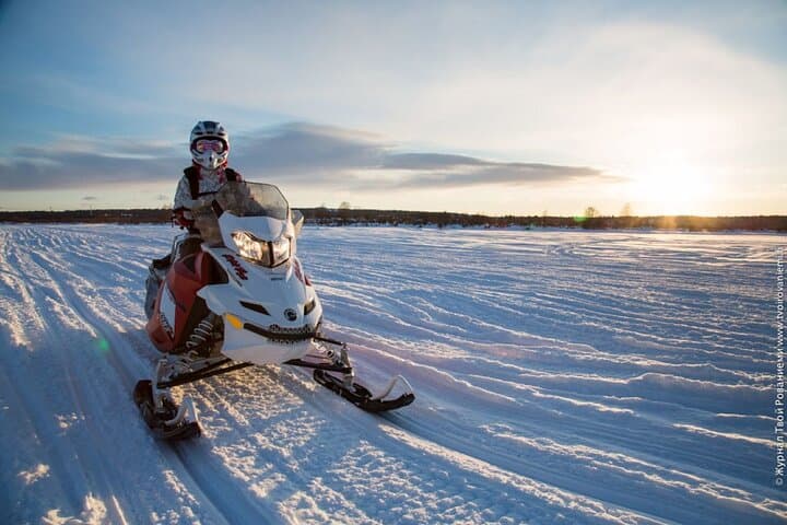 Levi Snowmobile Wilderness Ride: 25km Guided Arctic Safari photo 3