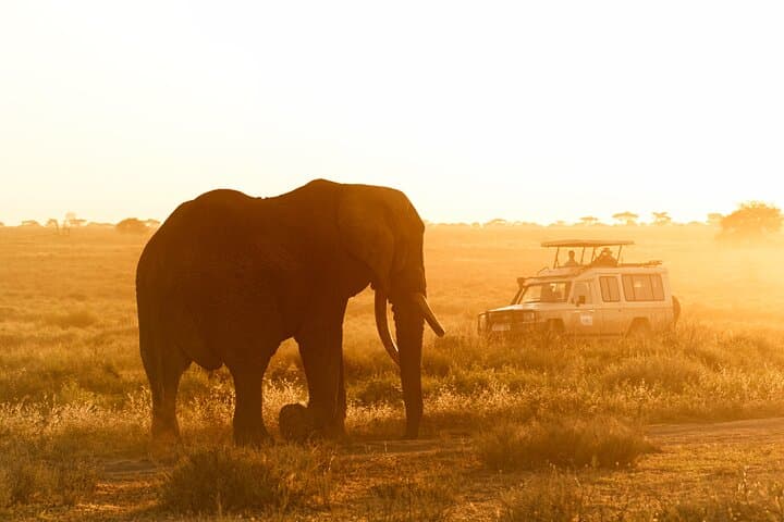 5-Day Serengeti & Ngorongoro Crater Safari — Classic Tanzanian Wildlife Experience