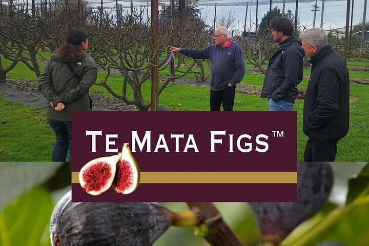 Hawkes Bay Local Producers Tour: Tastings and Figgery Lunch in Havelock North photo 4