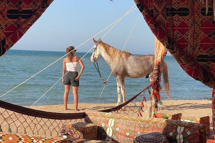 La Tenda Bedouin Beach Experience — Camel & Horse Ride, Dinner & Live Shows in Hurghada photo 1