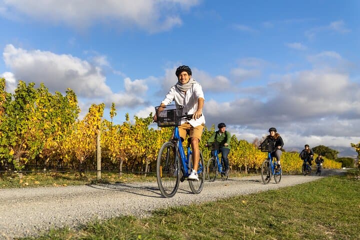 Half-Day Guided + Self-Guided Marlborough Bike Wine Tour: Ride, Taste, Explore
