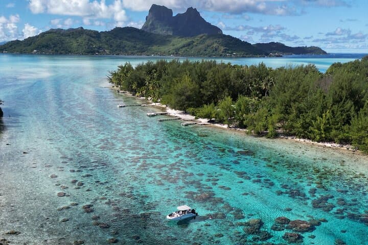 Bora Bora Lagoon Snorkel: Half-Day Reef Discovery with Manta & Eagle Rays photo 2