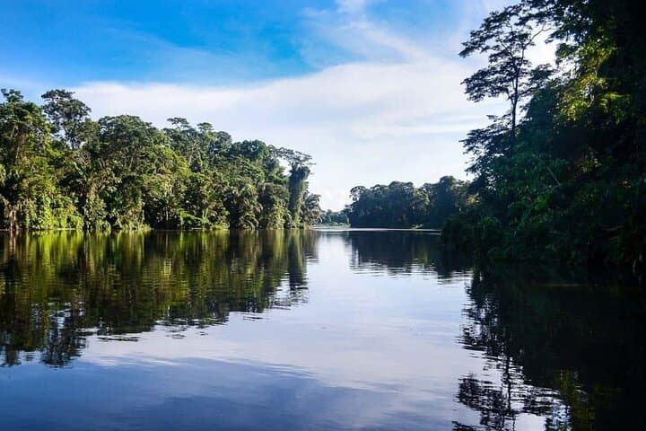 Silent Canoe Tour Through Tortuguero Canals — Rainforest Wildlife Exploration photo 2