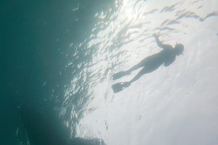 Goat Island Guided Boat Snorkel — Auckland’s Marine Reserve Adventure photo 3