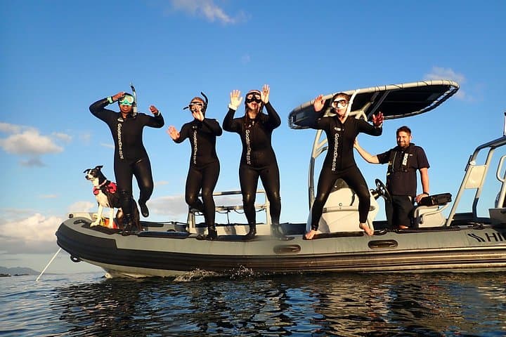 Goat Island Guided Boat Snorkel — Auckland’s Marine Reserve Adventure photo 4