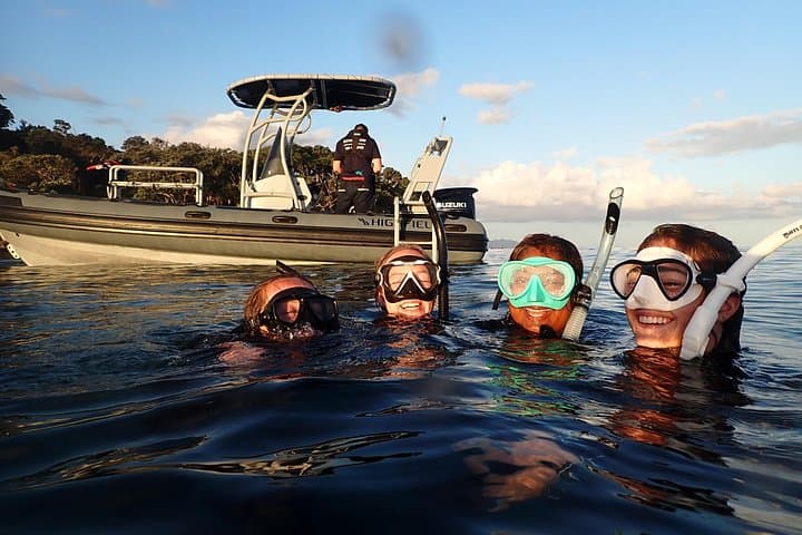 Goat Island Guided Boat Snorkel — Auckland’s Marine Reserve Adventure