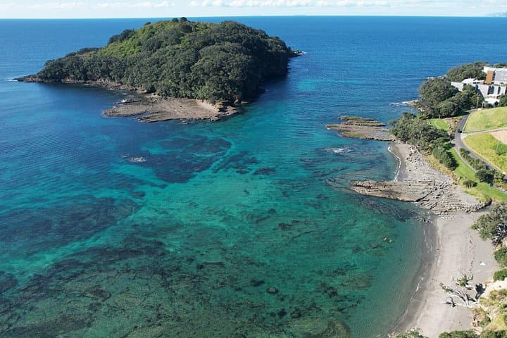 Goat Island Guided Boat Snorkel — Auckland’s Marine Reserve Adventure photo 2