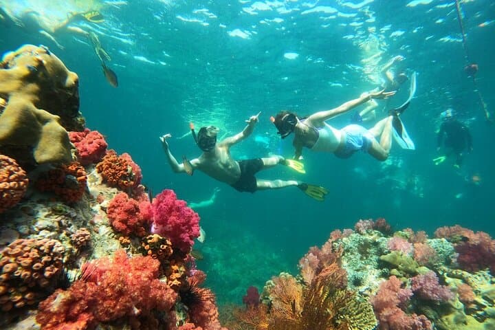 Koh Lipe 4-Island Snorkel & Sunset Longtail Tour — Koh Yang, Jabang, Hin Ngam, Adang