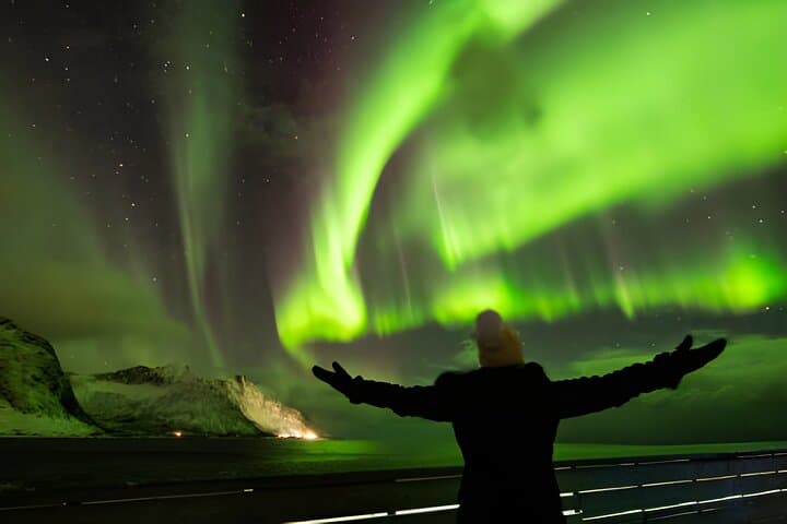 Private Northern Lights Tour from Reykjavik — Aurora Pursuit photo 4