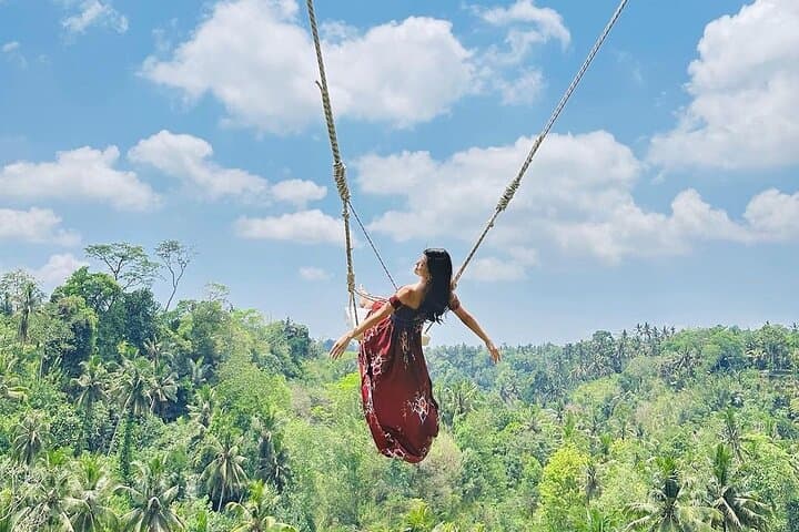 Ubud Private Day Tour: Tegalalang Rice Terrace, Tirta Empul & Waterfall Adventure photo 5