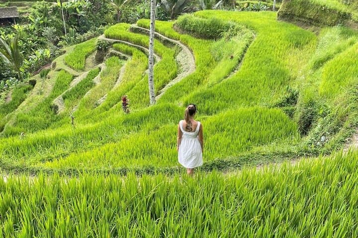 Ubud Private Day Tour: Tegalalang Rice Terrace, Tirta Empul & Waterfall Adventure photo 2